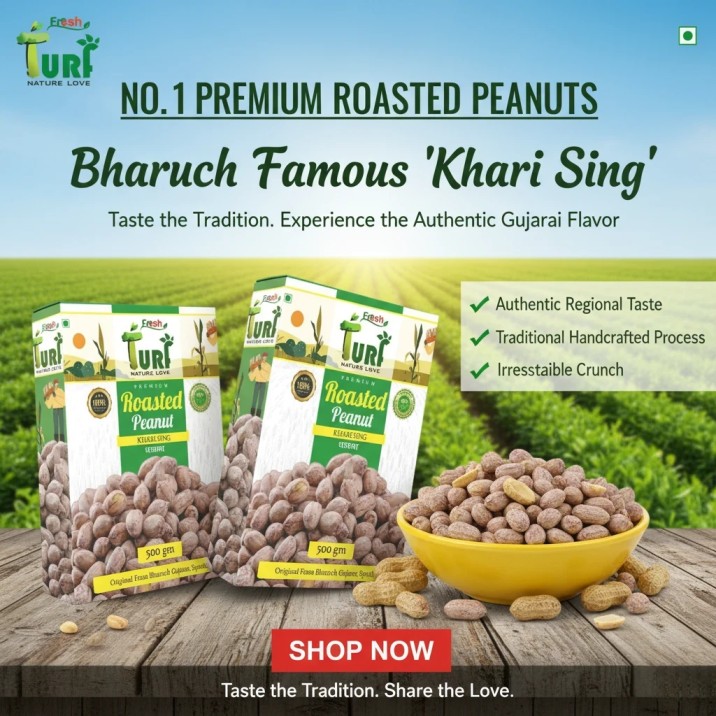 Turf Fresh Premium Bharuch Roasted Peanuts Handpicked A1 Quality